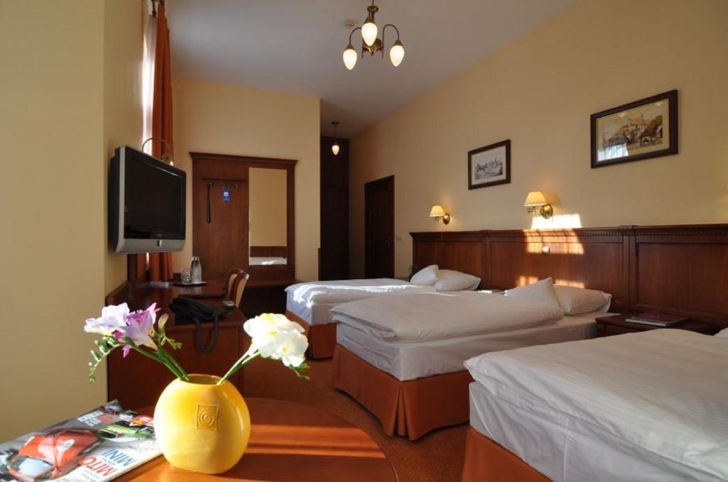 Hotel Stefania Krynica-Zdrój Rum bild